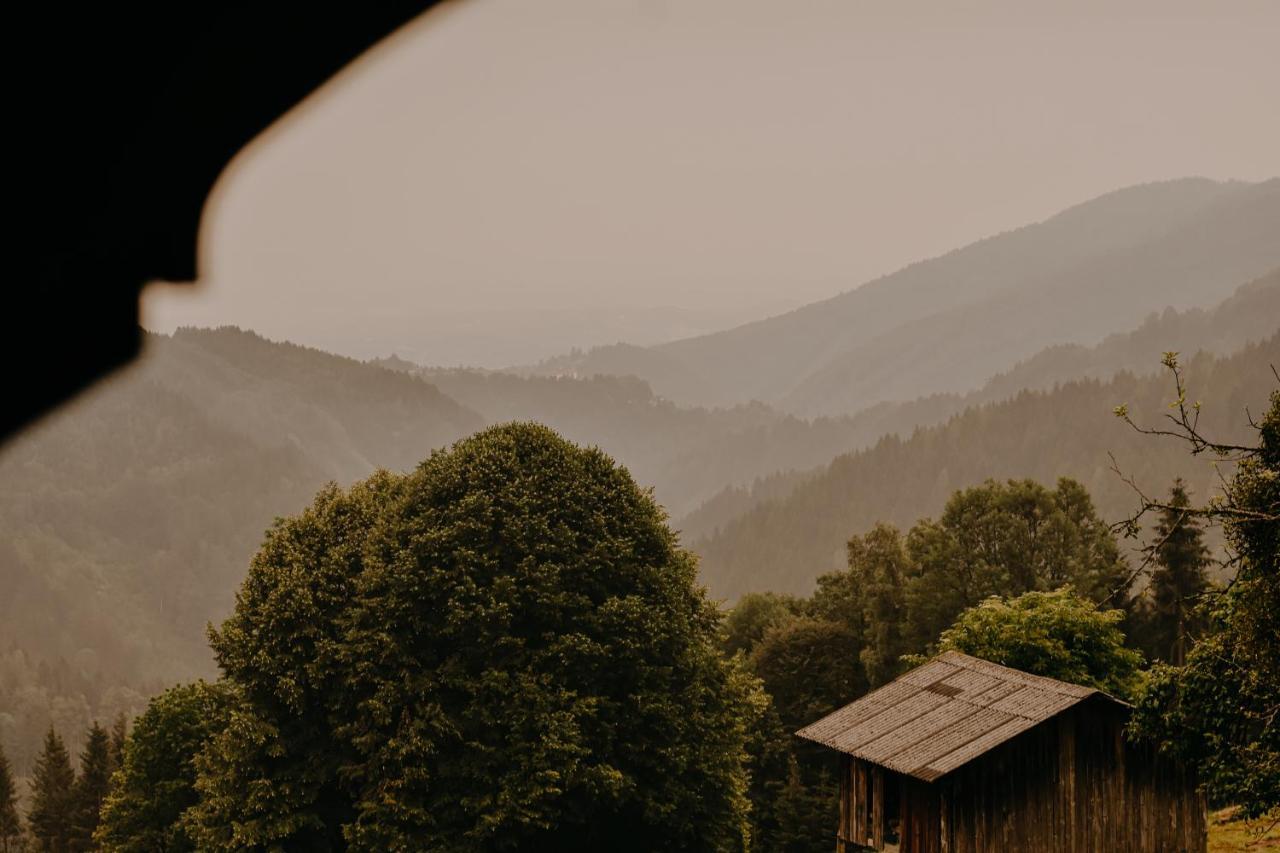 Almhaus Kochjosel Villa Garanas ภายนอก รูปภาพ